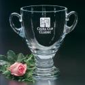 Ambassador Trophy Award