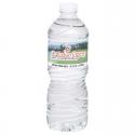 16.9 oz. Twist Cap Bottled Water