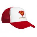 Trucker's Mesh Cap