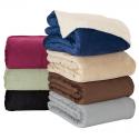 Micro Mink Sherpa Blanket (50" x 60")