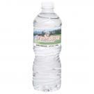 16.9 oz. Twist Cap Bottled Water