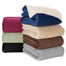 Micro Mink Sherpa Blanket (50" x 60")