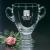Ambassador Trophy Award