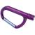 Carabiner Flashlight