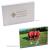 4" x 6" Magnetic Acrylic Frame