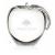 Clear Crystal Apple