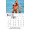 2012 Calendar - Allure Swimsuit Calendar