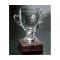 Ambassador Trophy Award