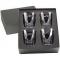 Fusion On-the-Rocks Gift Set