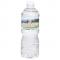 16.9 oz. Twist Cap Bottled Water