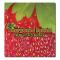 Fabric Surface Standard Sizes 71/2 x 8 -1/16 thick