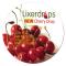 Firm Surface Standard Sizes 8 Round-- 1/16 thick