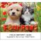 Calendar - Four Paws Calendar