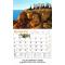 Jewish Calendar