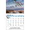 David Maass Calendar