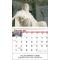 Great Symbols of American History Calendar