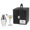 2 Person Martini Set